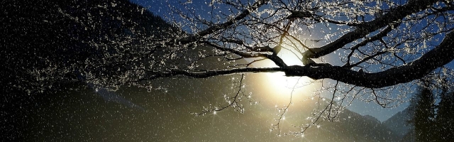 Lost Snow(迷失的雪）